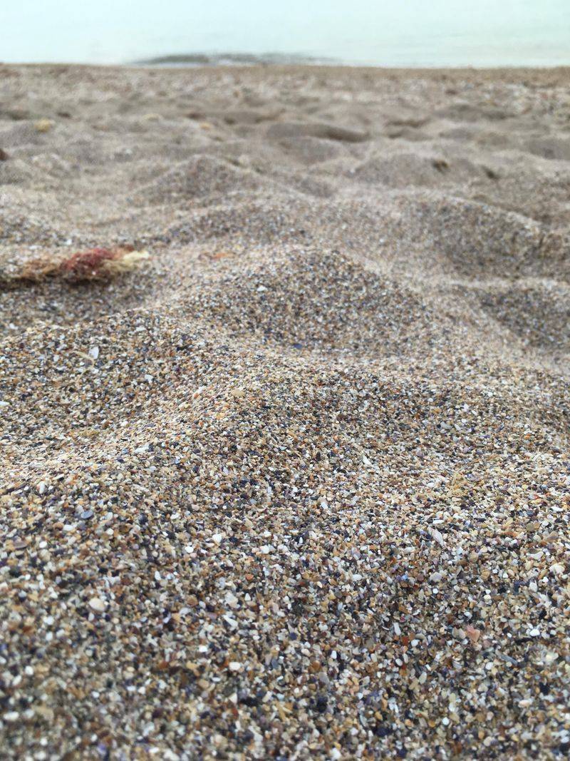 Crushed Seashells