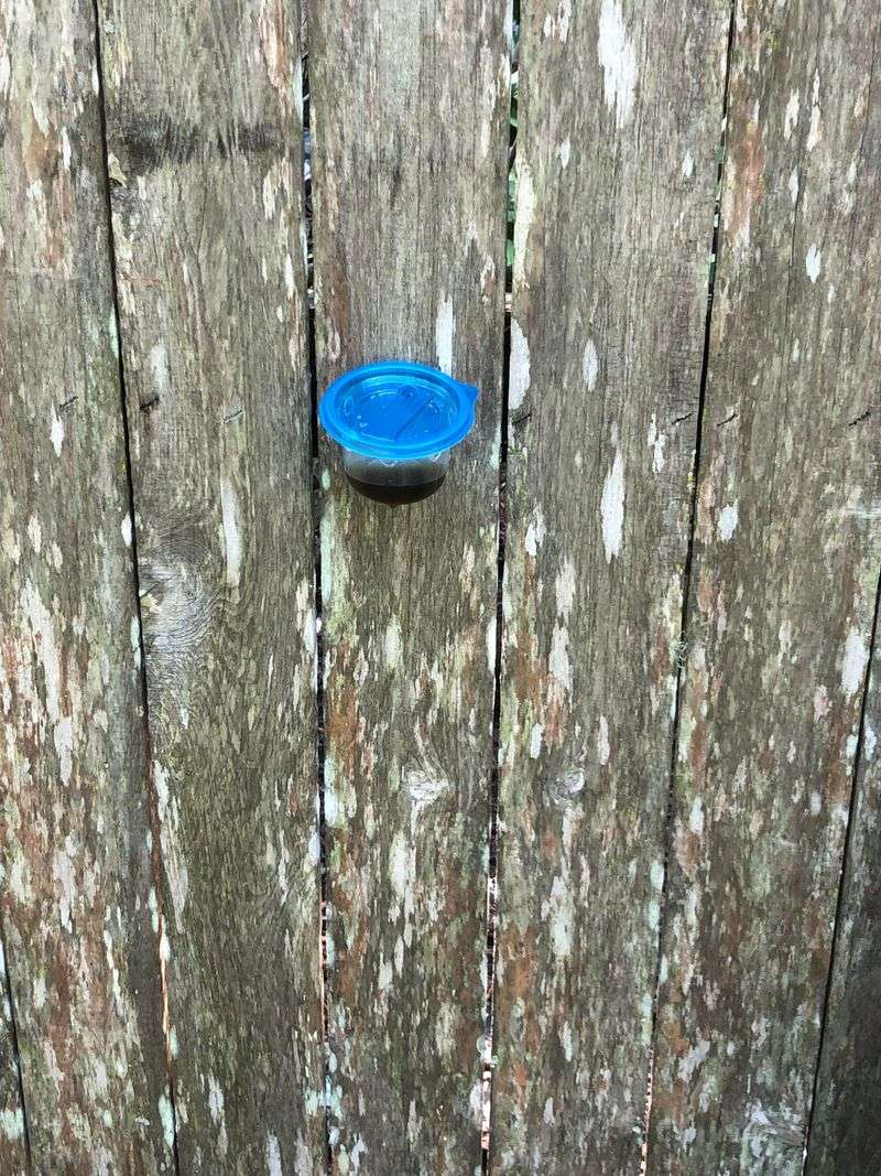 Predator Urine