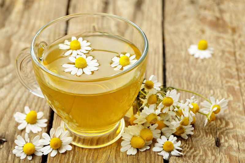 Chamomile Releases Natural Antifungal Compounds