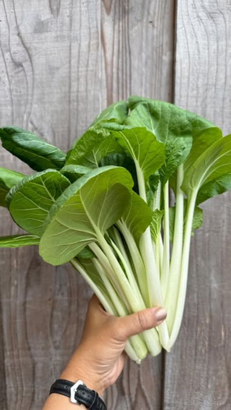 Bok Choy