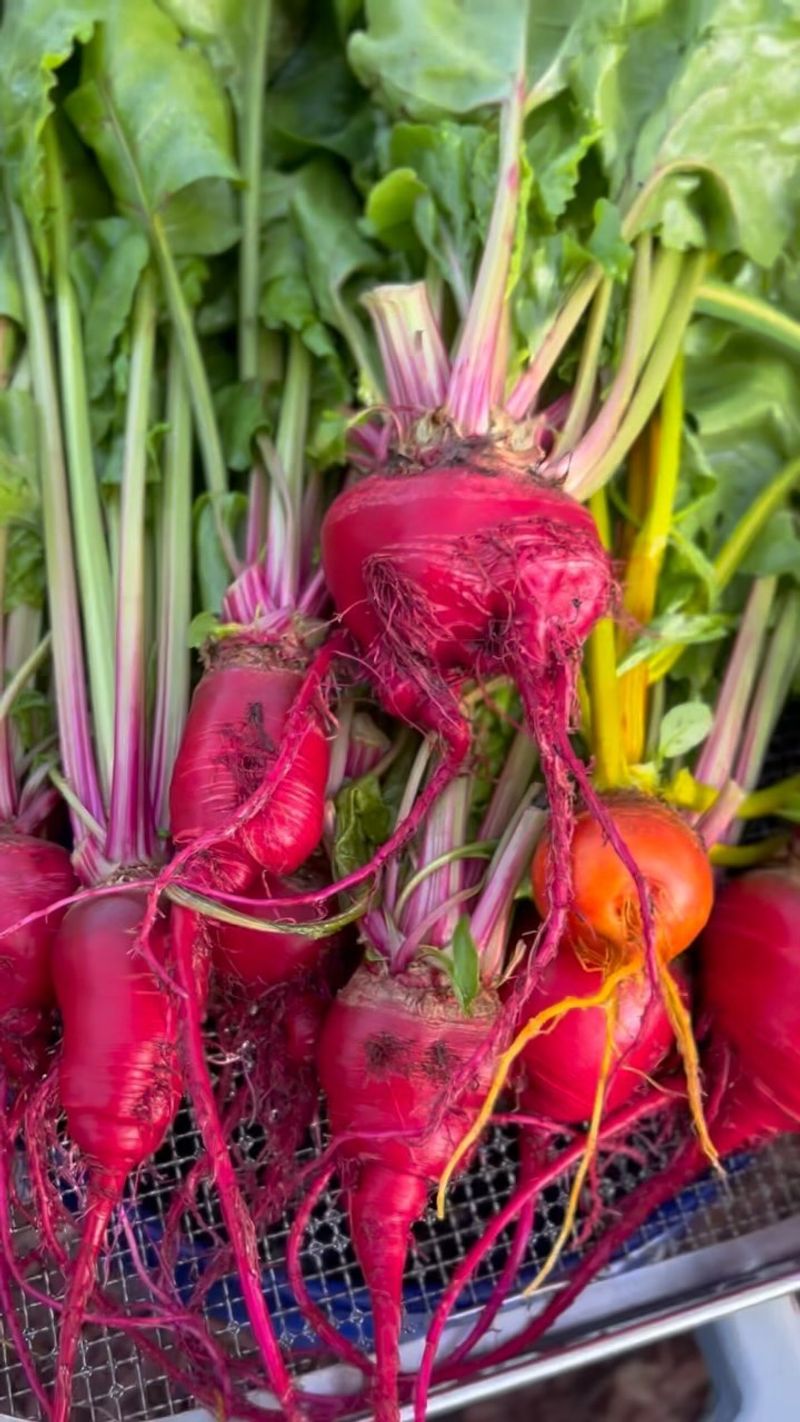 Beets