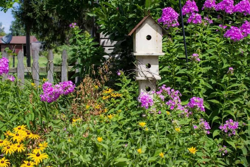 Bird-Friendly Gardens