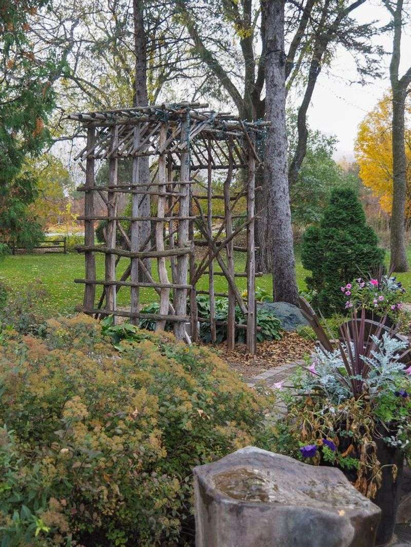 Trellis for Climbing Plants