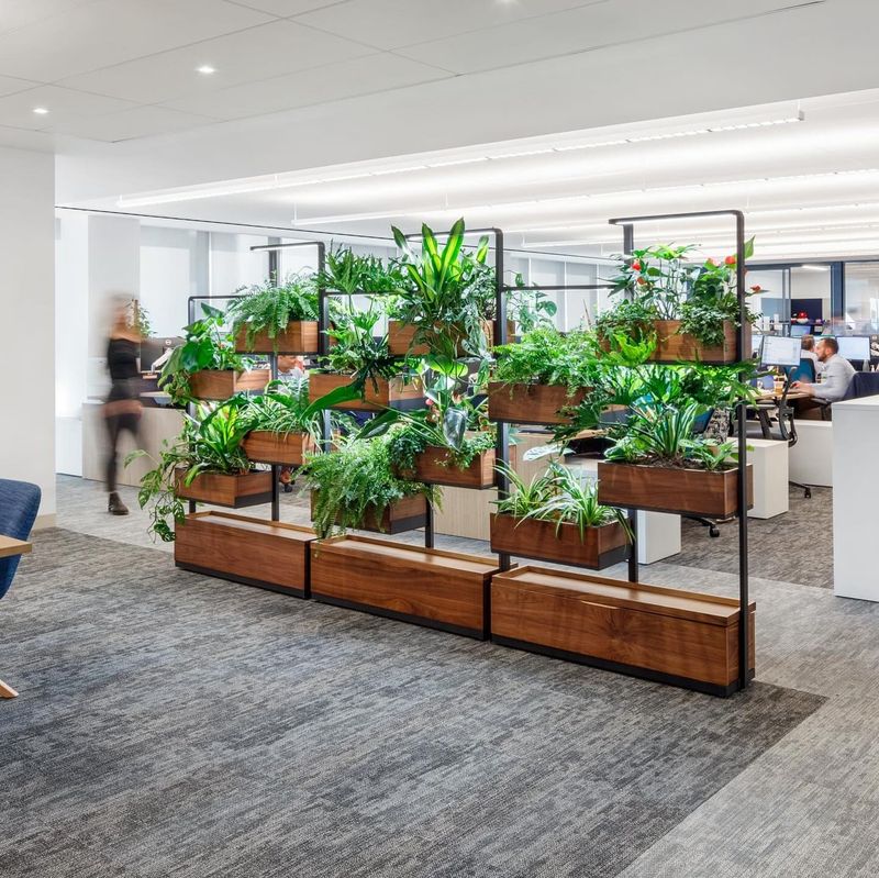 Plant-Filled Room Dividers