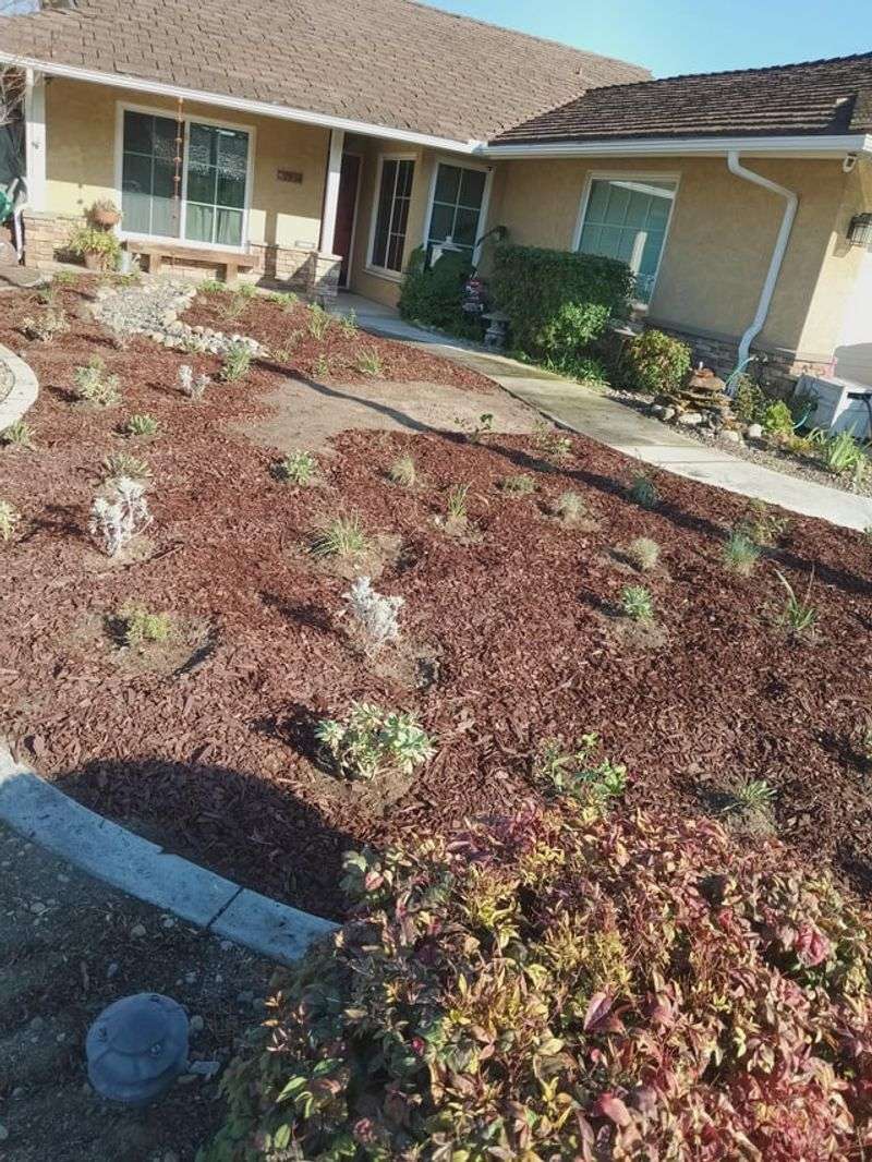 Thick Mulch Layering