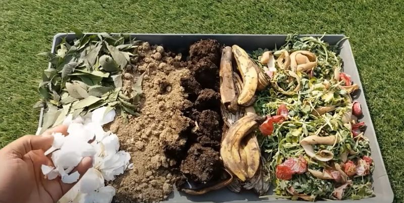 Food Waste In Large Quantities