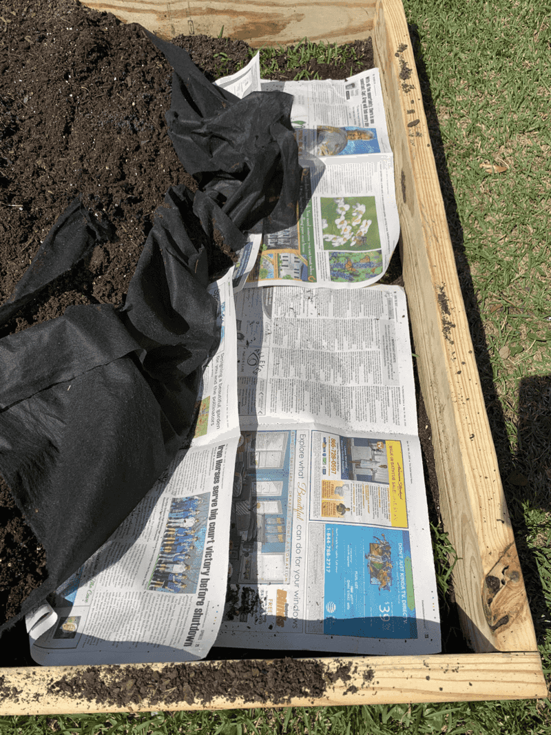 Shredded Paper and Newspaper