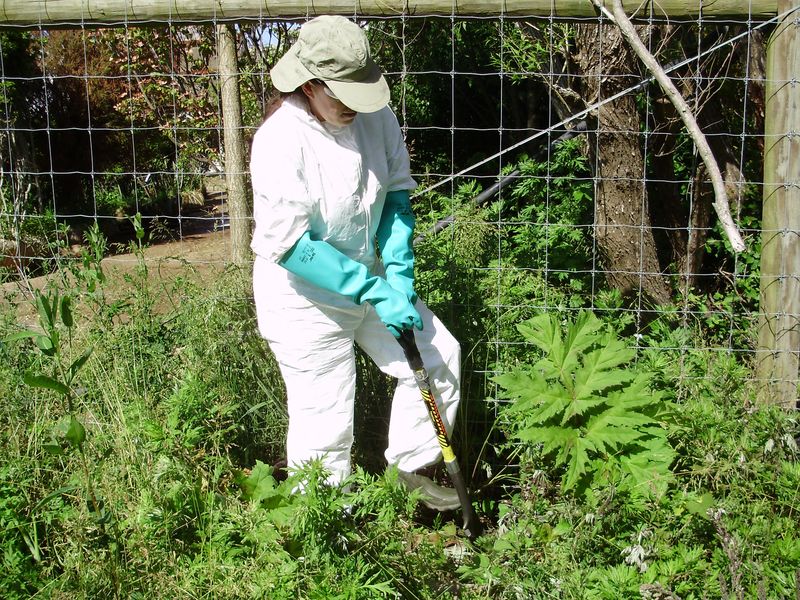 Protective Gear Essentials