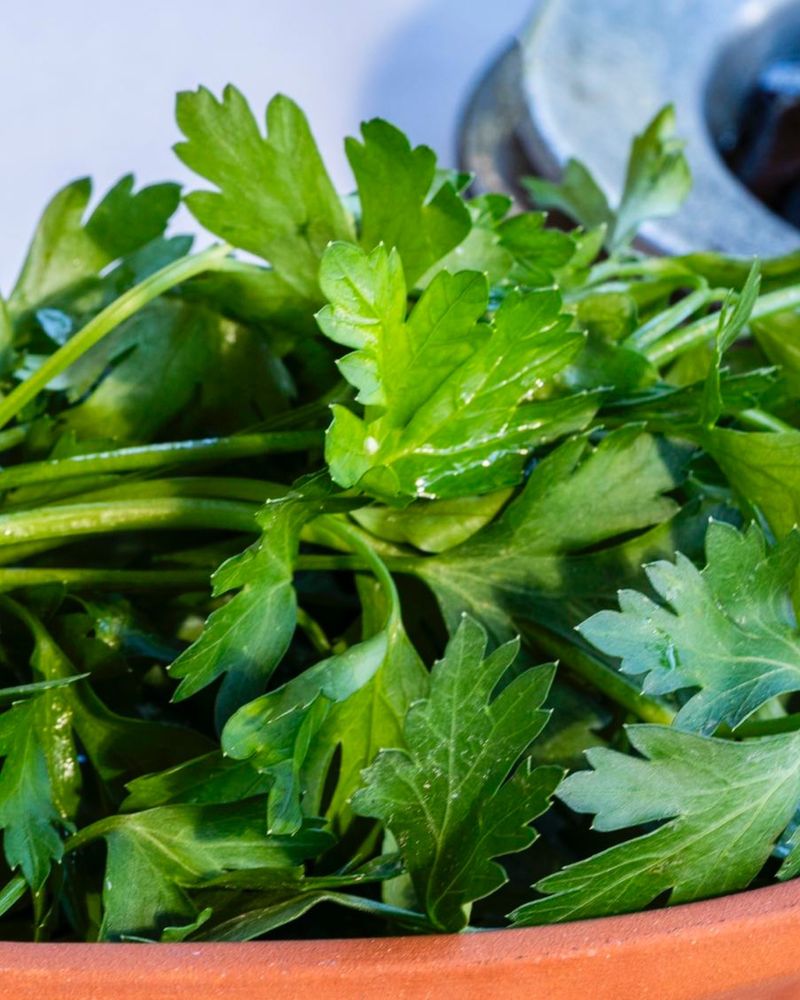 Parsley