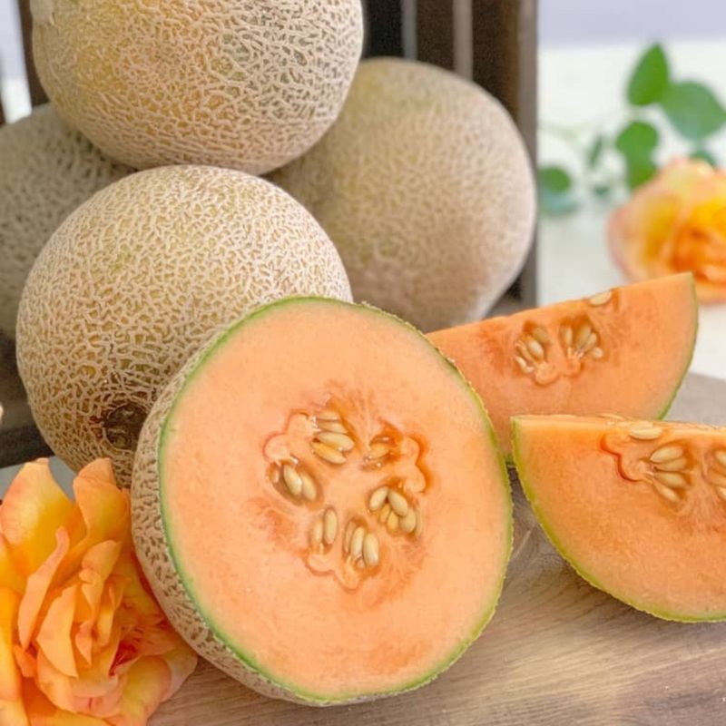 Cantaloupe Rinds