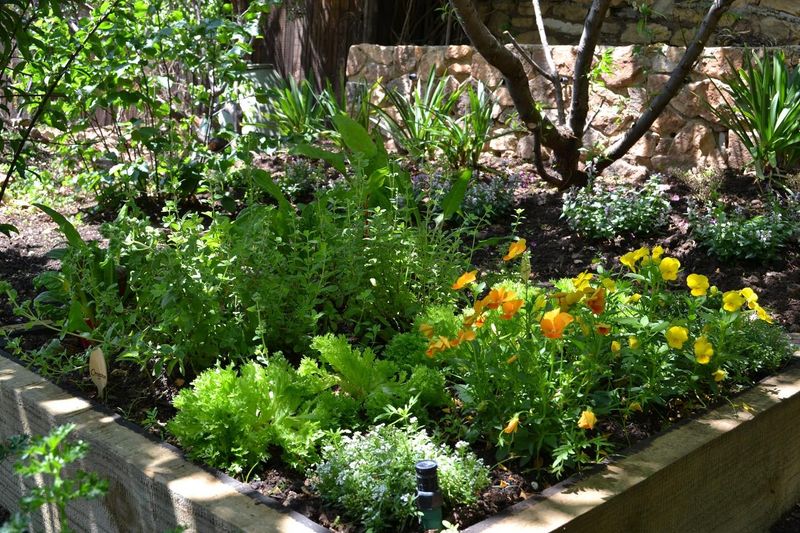 Mix Edibles With Ornamentals