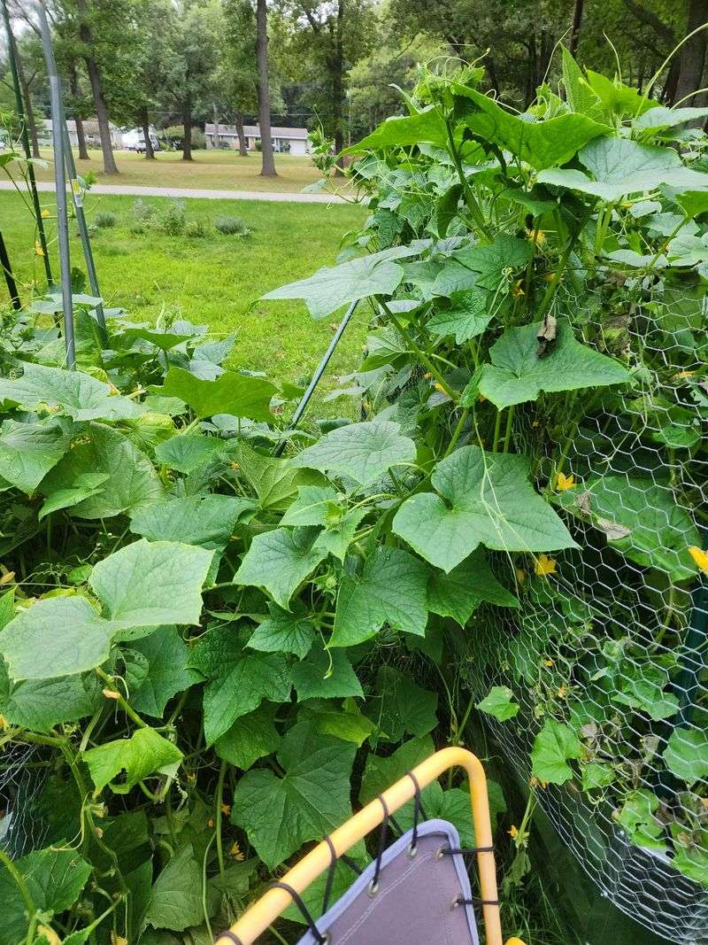 Maintain A Pruning Schedule