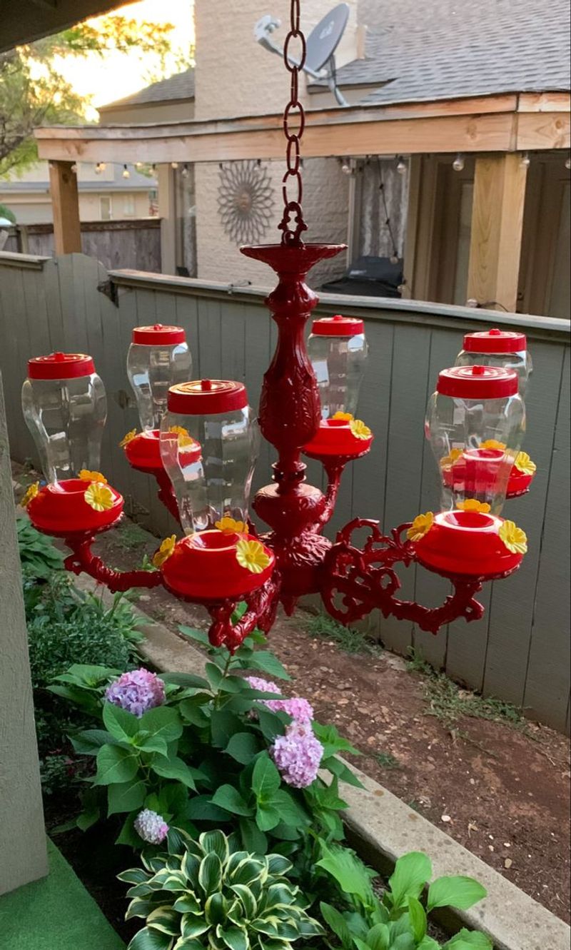 Chandelier Seed Dispenser