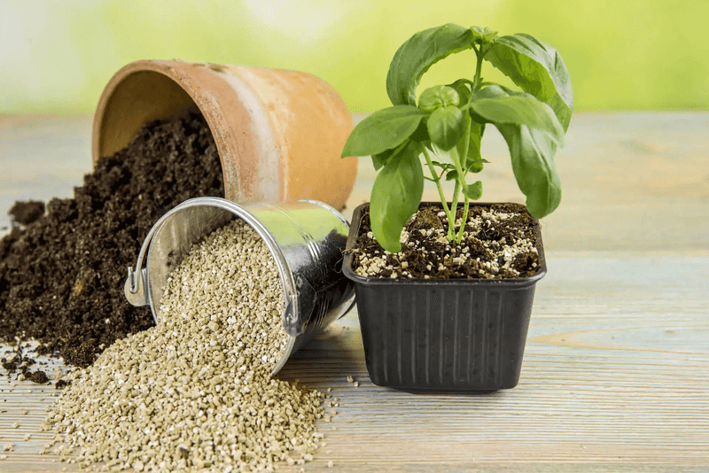 Nutrient Retention Capabilities