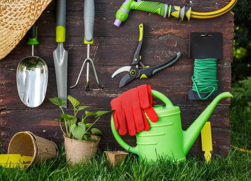 Gather Your Collection Tools