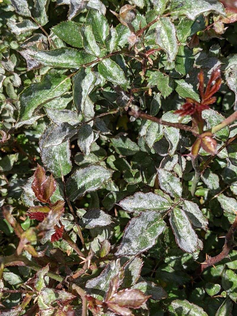 Crowded Spaces With Poor Air Circulation