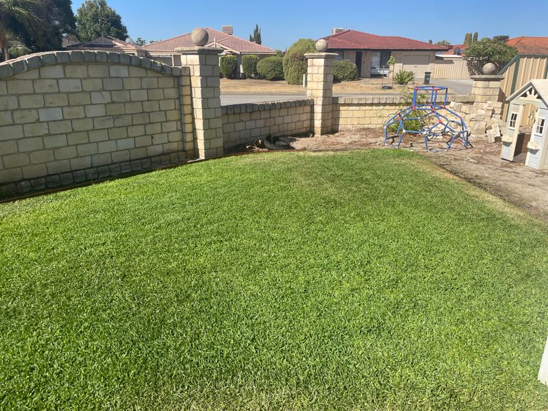 MISTAKE: Mowing Grass Too Short