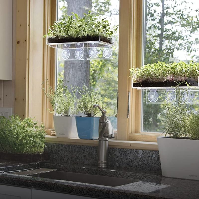 Window Herb Shelves