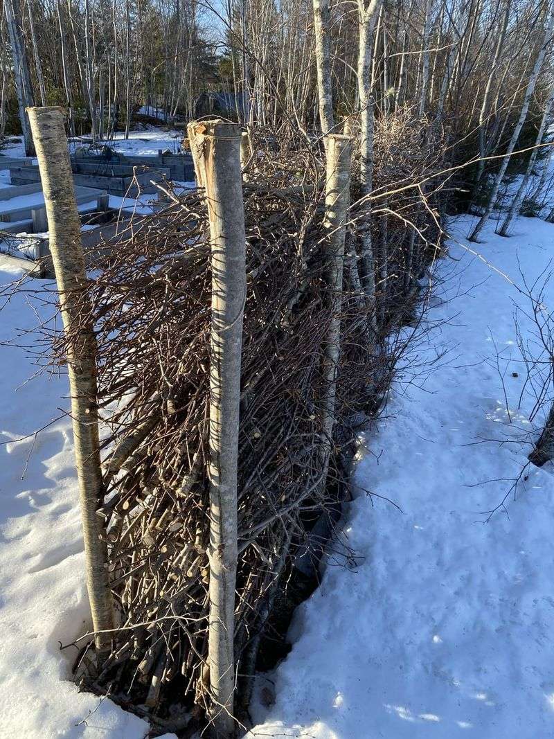 Create Brush Piles For Security