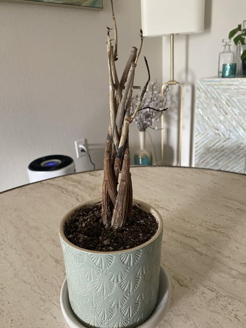 Limit Pruning Volume