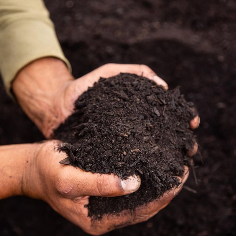 Free Mulch Alternative