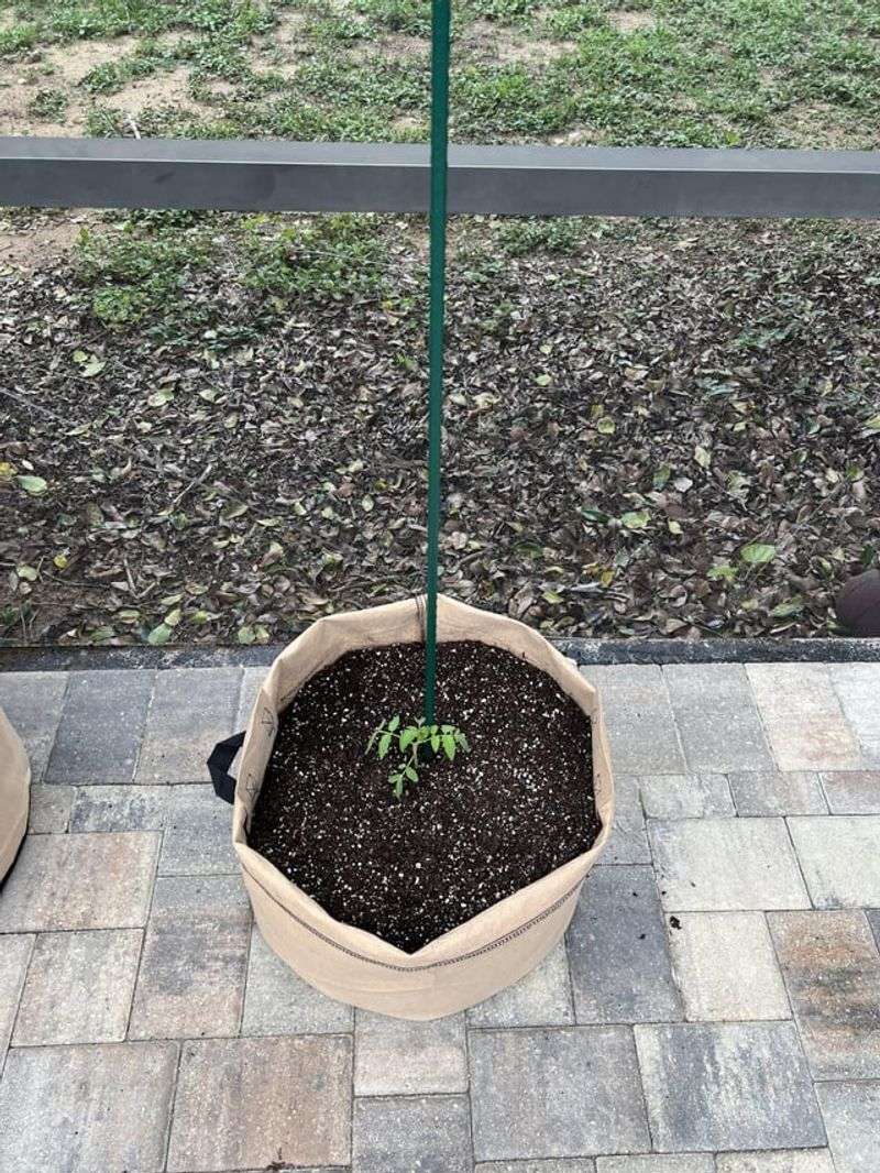 Use mulch strategically