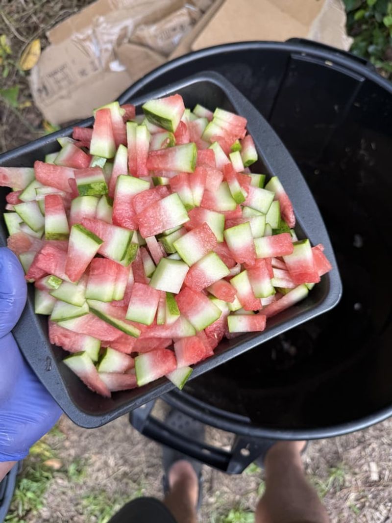 Melon Rinds