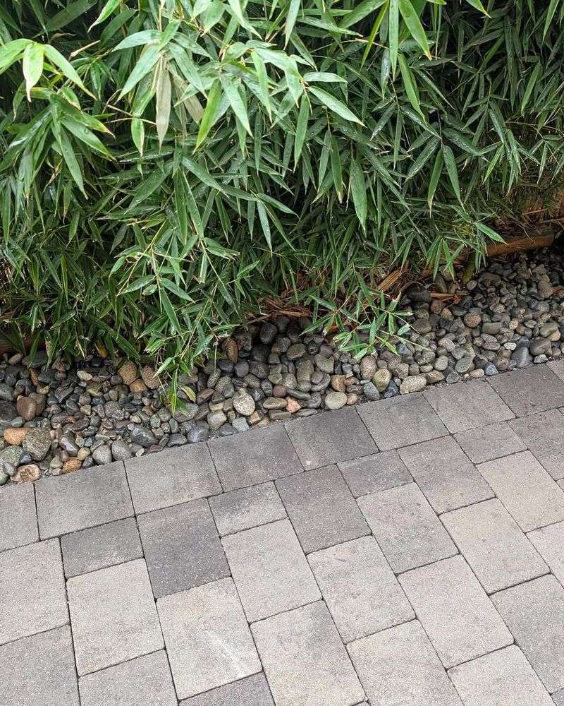 Excavate the Path Area
