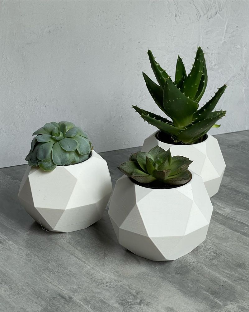 Concrete Geometric Planters