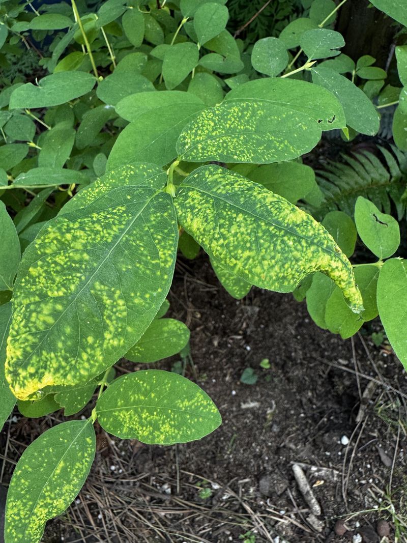Implement Smart Watering Practices