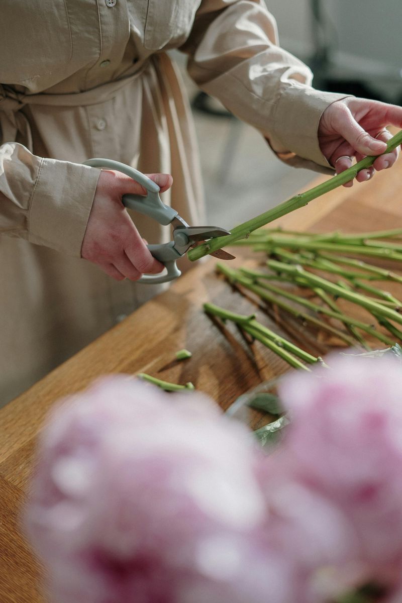 Perfect Your Cutting Technique
