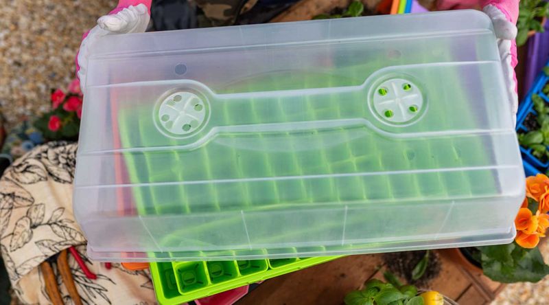 Create A Free Humidity Dome