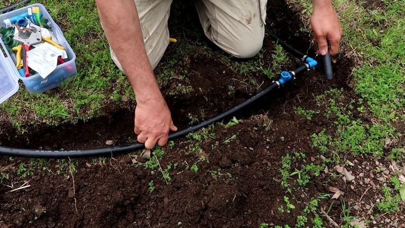 Establish A Smart Watering Routine