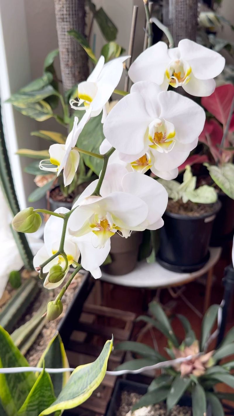 Find The Sweet Spot For Light