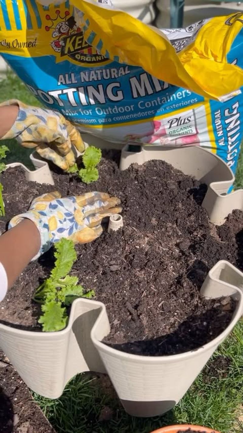 Establish a Feeding Schedule