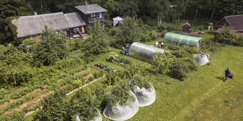 Russian Dacha Gardens - Productive Retreats