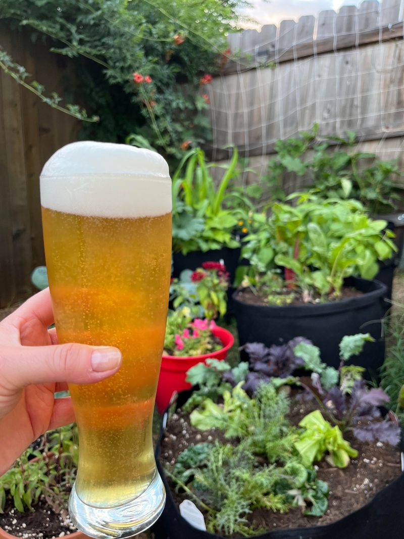 Root Beer Attracts Beneficial Worms