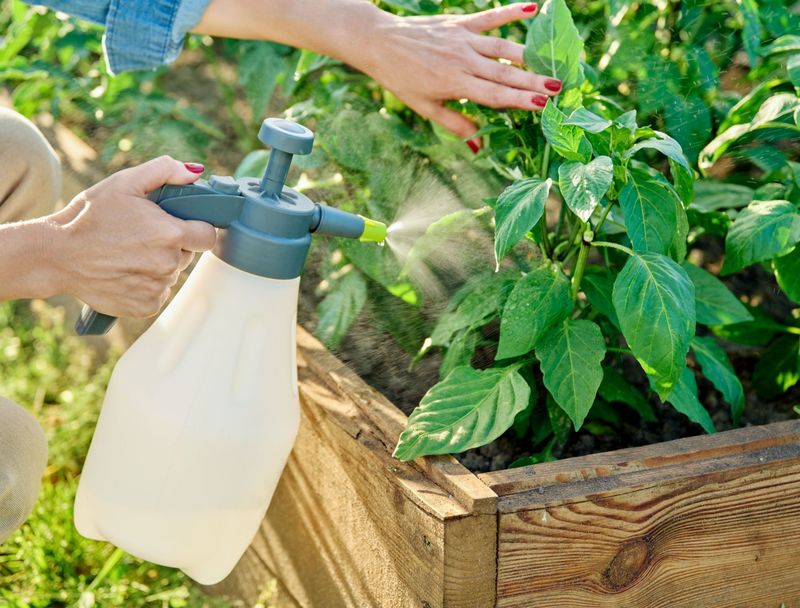 Aspirin Water Solution