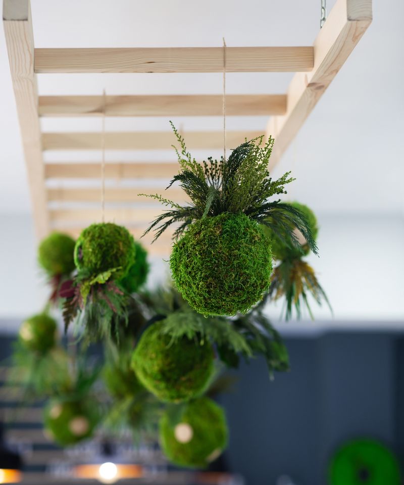 Hanging Kokedama String Garden