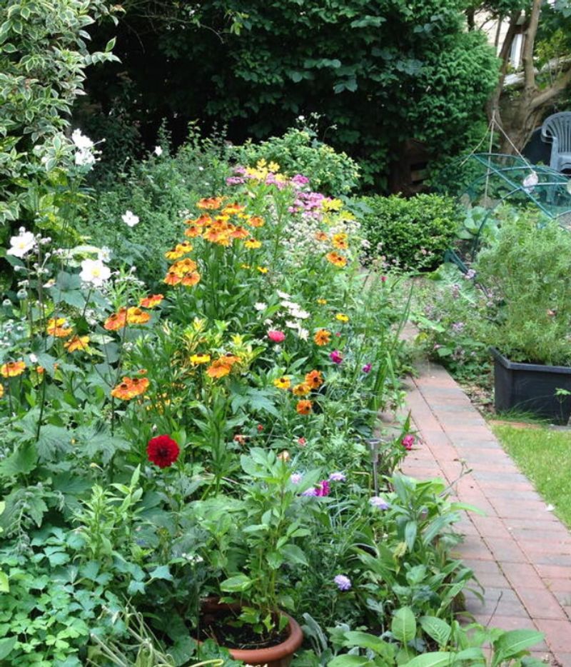 Boosts Pollination in Mixed Beds