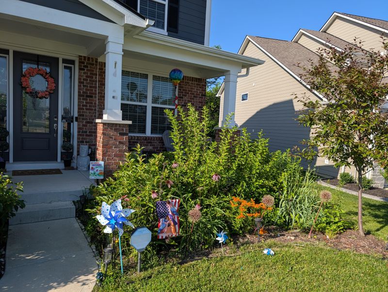 Excessive Lawn Ornaments