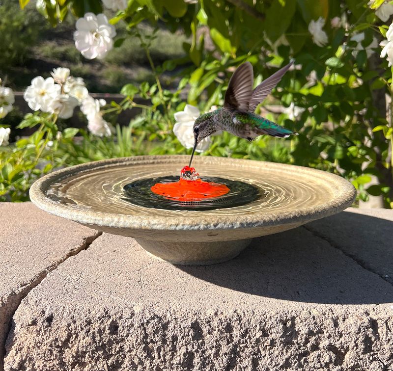 Solar Bubbler Birdbaths