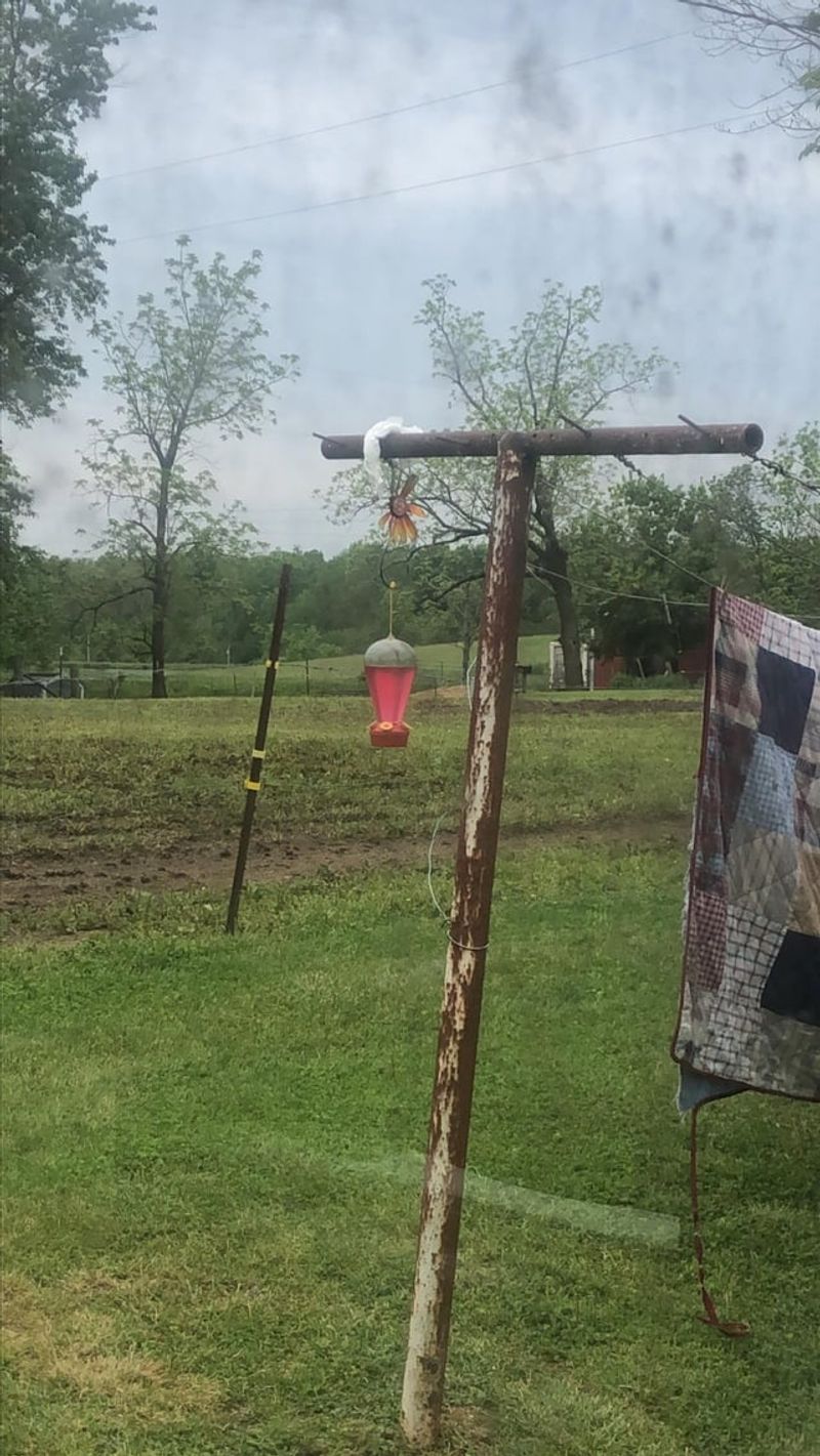 Fishing Line Hangers