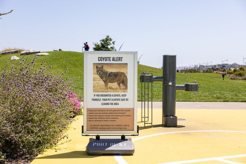 Contact Local Animal Control