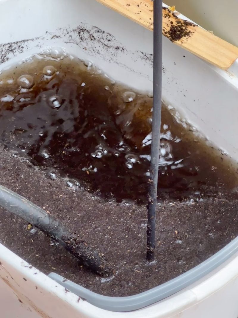 Worm Casting Tea