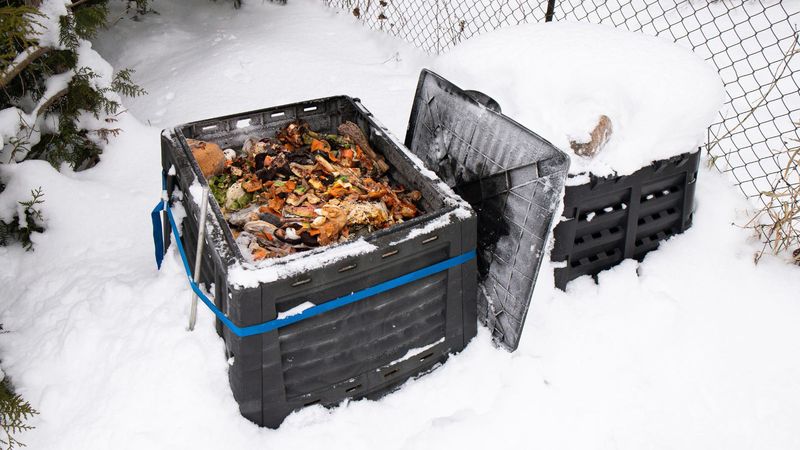 Freezing Winter Halts Decomposition