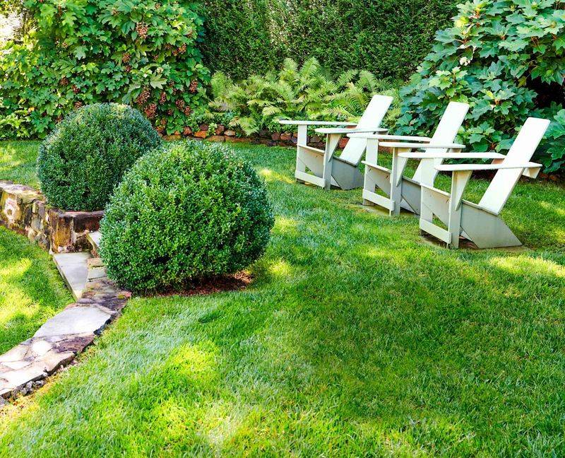 Maintain Healthy Lawn Density