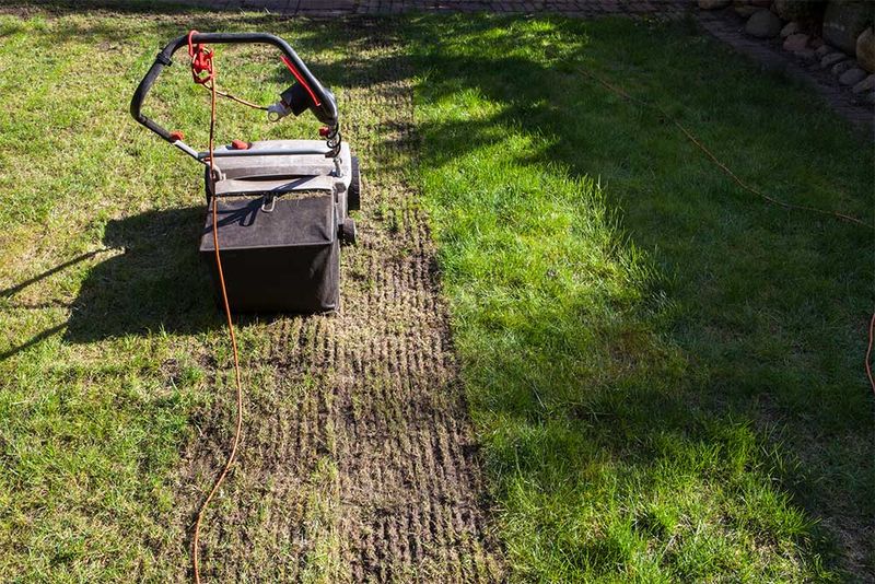 Dethatch When Necessary