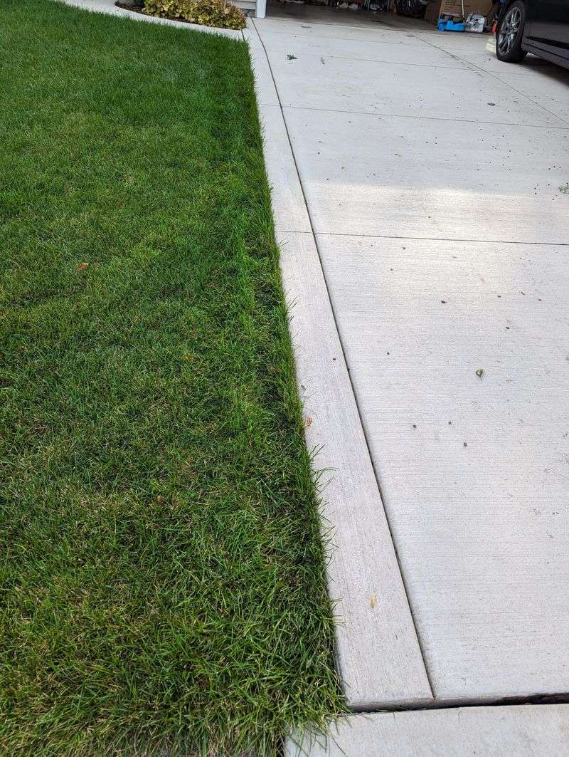 Fill Low Spots Before Mowing