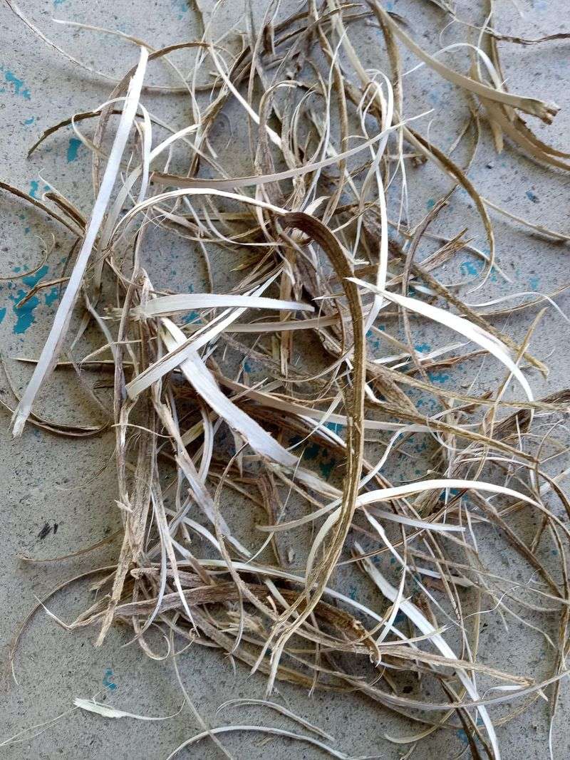 Offer Nesting Materials